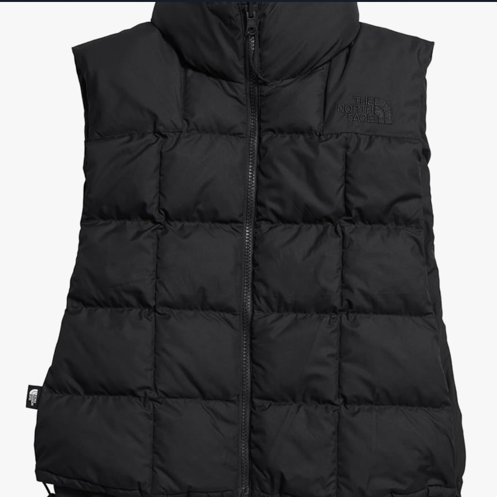 The north face reversible vest